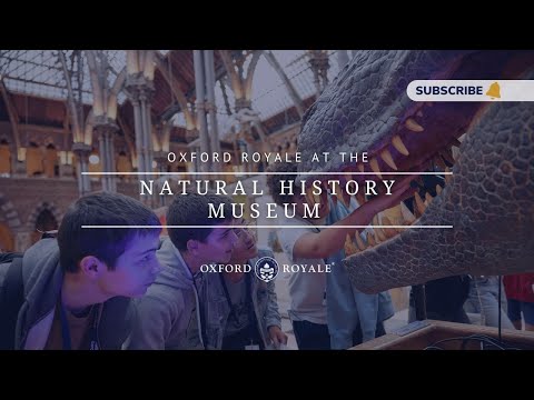 The Natural History Museum